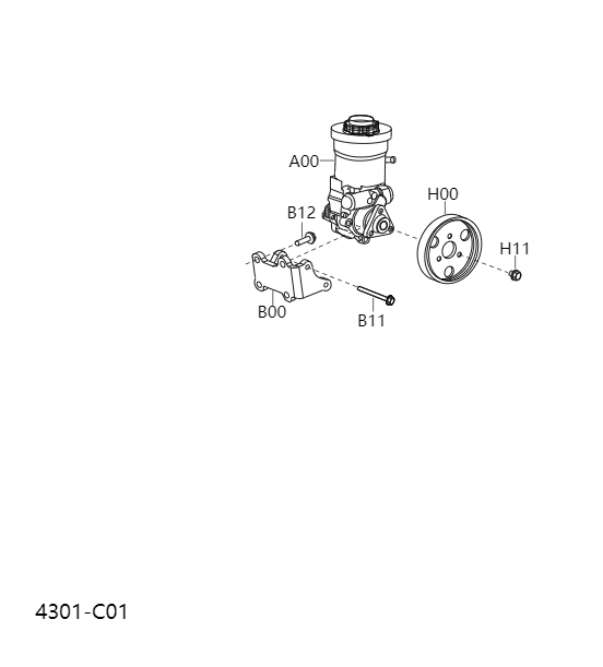 Power Steering Pump4301