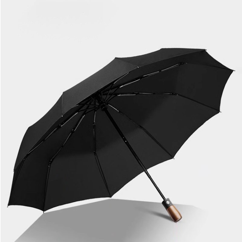 BYD Yang Wang U8 2023-2025 Car umbrella