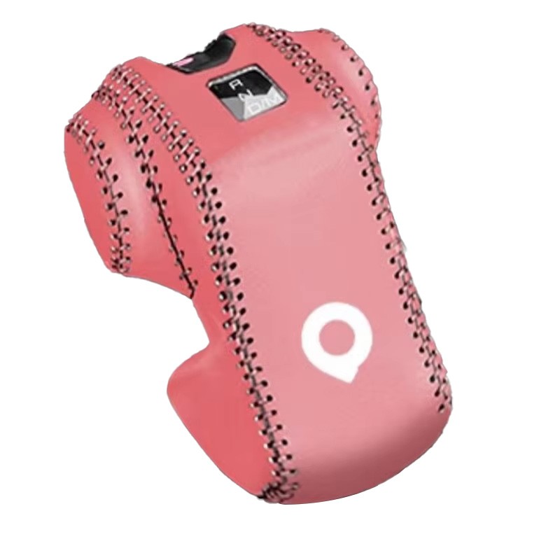 Great Wall Poer Gwm Poer 2023 2024 Gear Lever Cover Smart Cover Interior